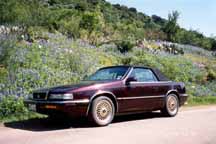 1989 Royal Cabernet - stock - Click to view larger picture (110K)