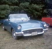 June 10 1984 - All- T-bird Picnic