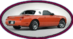 Coral tbird